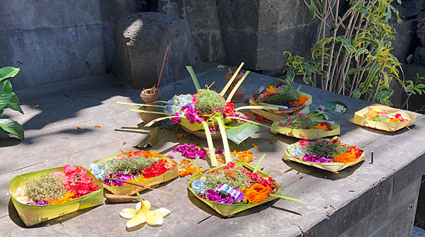 Bali - Blumen